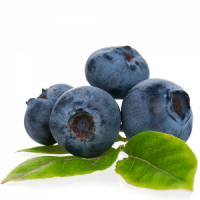 Organic Blueberry