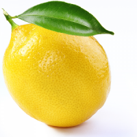 Organic Allantion