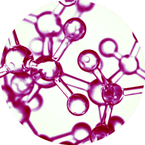Organic Blueberry